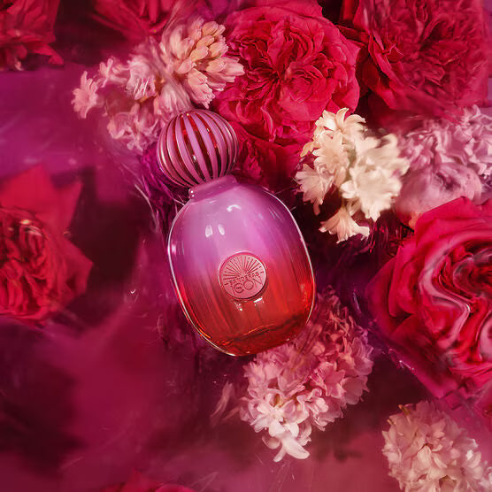 Bandera The Icon Feminino