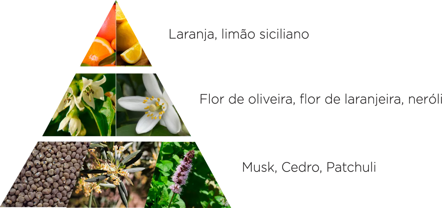 La Florentina Kit Big Ritual Boboli Citrus